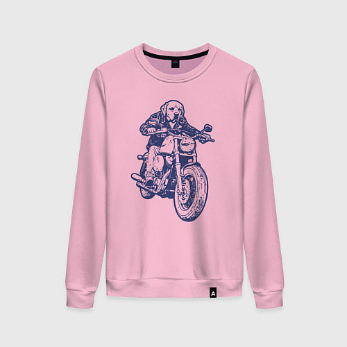 Женский свитшот Лабрадор байкер на мотоцикле чоппере / Светло-розовый – фото 1
