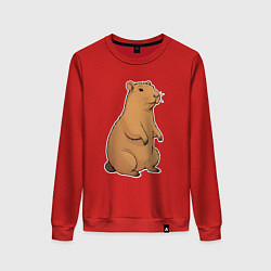 Женский свитшот Звери капибара
