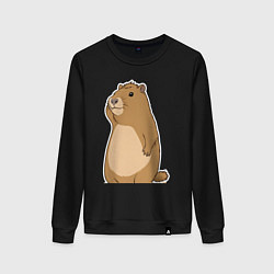 Женский свитшот Прекрасная капибара