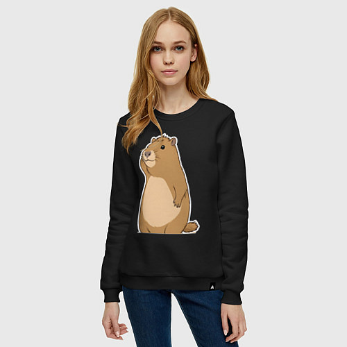 Женский свитшот Прекрасная капибара / Черный – фото 3