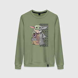 Свитшот хлопковый женский Unknown specis - Baby Yoda, цвет: авокадо