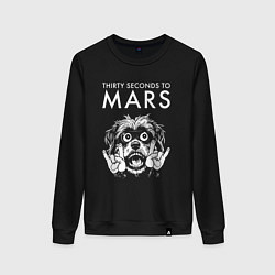 Свитшот хлопковый женский Thirty Seconds to Mars rock dog, цвет: черный