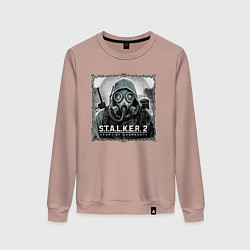 Свитшот хлопковый женский Stalker 2 heart of Chornobyl radiation 2, цвет: пыльно-розовый