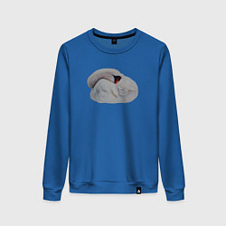 Свитшот хлопковый женский Спящий лебедь, цвет: синий