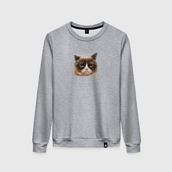 Свитшот хлопковый женский Сердитая Кошка для пары, цвет: меланж