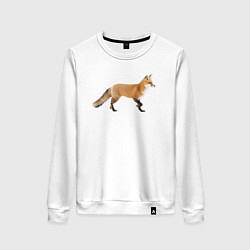 Свитшот хлопковый женский Идущая лиса, цвет: белый