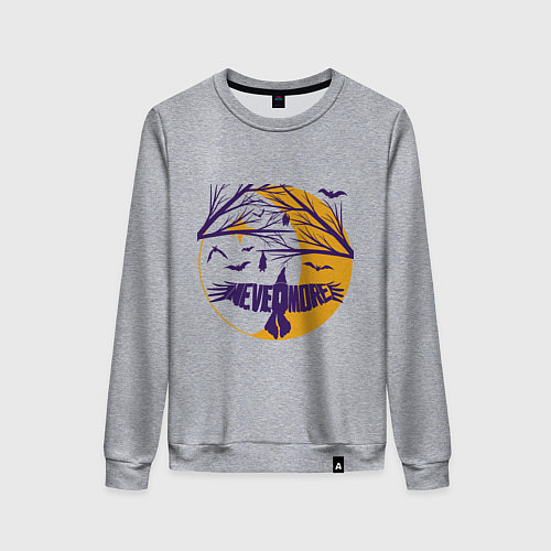 Женский свитшот Полёт в Невермор / Меланж – фото 1