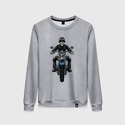 Свитшот хлопковый женский Skeletor racer, цвет: меланж