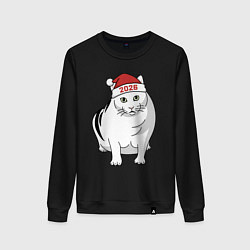 Женский свитшот Мемный кот Бендер - 2026