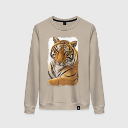 Свитшот хлопковый женский Tiger: retro style, цвет: миндальный