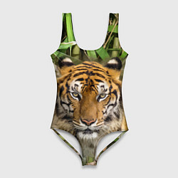 Купальник-боди 3D женский Матёрый тигр в зарослях бамбука, цвет: 3D-принт