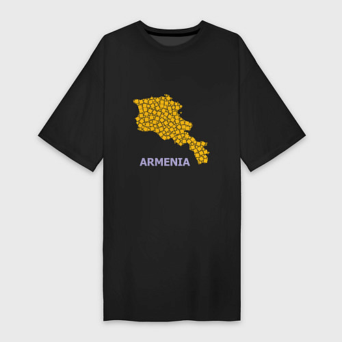 Женская футболка-платье Golden Armenia / Черный – фото 1