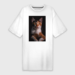 Женская футболка-платье Умный взгляд кота
