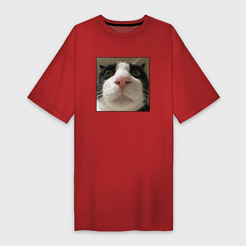 Женская футболка-платье Задумчивый кот / Красный – фото 1