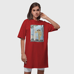 Футболка женская-платье Amalfi Robe, de Worth Вид на море, цвет: красный — фото 2