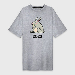 Футболка женская-платье Большой кролик 2023, цвет: меланж
