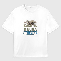 Футболка оверсайз женская Под лежачий камень ленивец бежевый арт, цвет: 3D-принт
