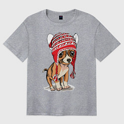 Футболка оверсайз женская Чихуахуа в шапочке, цвет: меланж