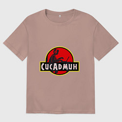 Футболка оверсайз женская Парк Сисадмина, цвет: пыльно-розовый