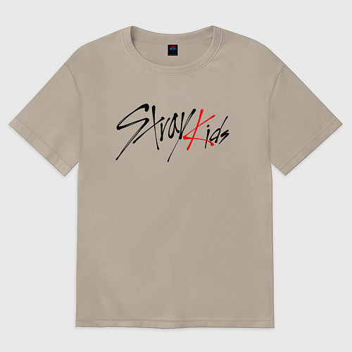 Женская футболка оверсайз STRAY KIDS BANGCHAN / Миндальный – фото 1