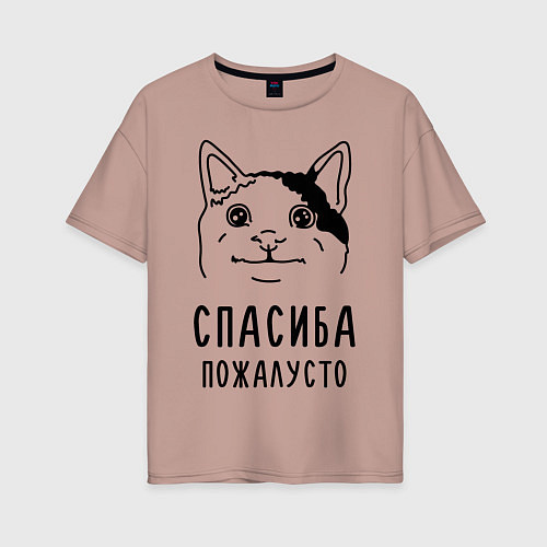 Женская футболка оверсайз Вежливый котик / Пыльно-розовый – фото 1