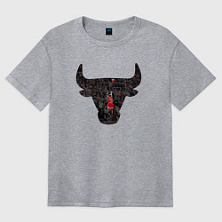 Футболка оверсайз женская Bulls - Jordan, цвет: меланж