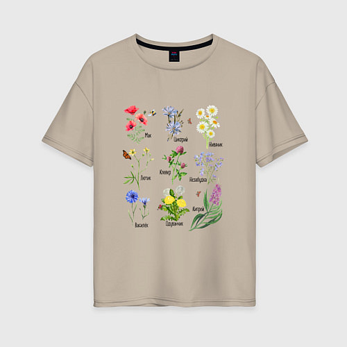 Женская футболка оверсайз Иллюстрации полевых цветов с названиями / Миндальный – фото 1