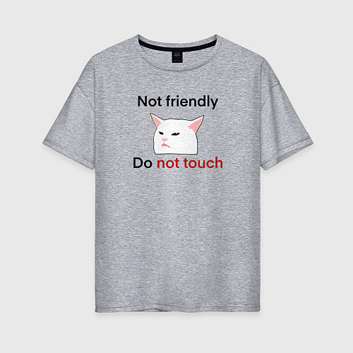 Женская футболка оверсайз Not friendly, do not touch, чёрный текст с мемным / Меланж – фото 1