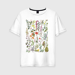 Футболка оверсайз женская Винтажная иллюстрация разных растений Ботаника, цвет: белый