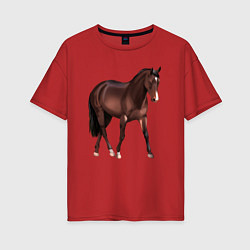 Футболка оверсайз женская Австралийская пастушья лошадь, цвет: красный