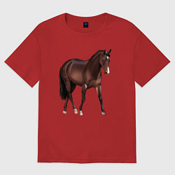 Футболка оверсайз женская Австралийская пастушья лошадь, цвет: красный