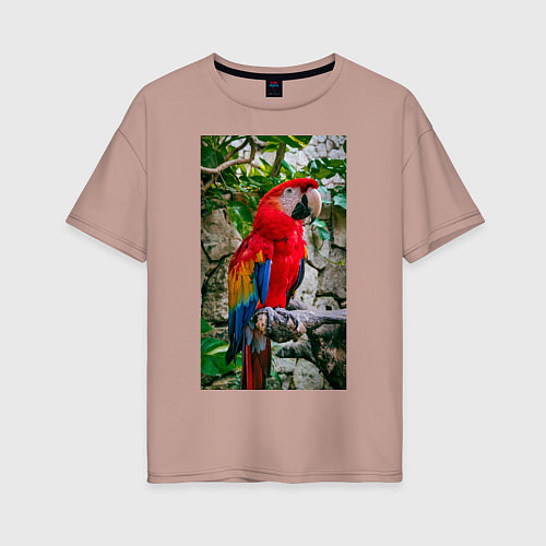 Женская футболка оверсайз Попугай во всей красе / Пыльно-розовый – фото 1