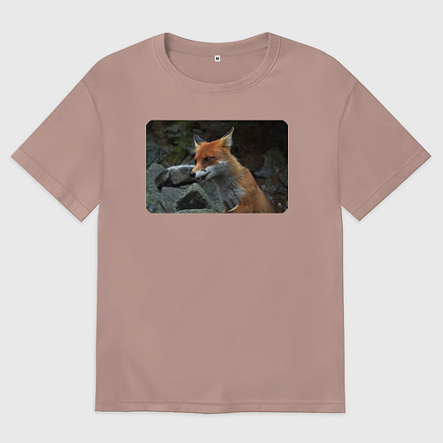 Женская футболка оверсайз Лисичка на камнях / Пыльно-розовый – фото 1