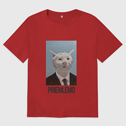 Женская футболка оверсайз Приемлемо - кот мем в живописи