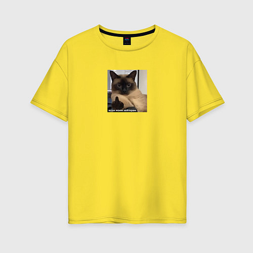 Женская футболка оверсайз Кот мем - всем моим хейтерам / Желтый – фото 1