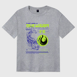 Футболка оверсайз женская Только истинная мудрость, цвет: меланж