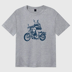 Футболка оверсайз женская Сфинкс на мотоцикле как байкер, цвет: меланж
