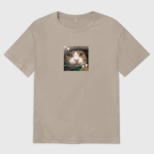 Женская футболка оверсайз Рыжий кот с сердечками для пары / Миндальный – фото 1