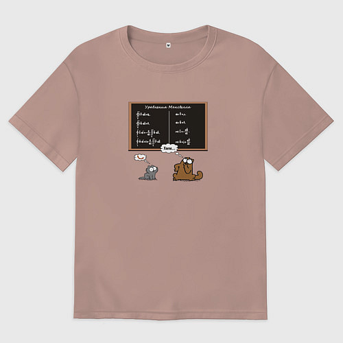 Женская футболка оверсайз Уравнения Максвелла / Пыльно-розовый – фото 1