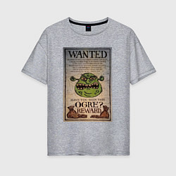 Женская футболка оверсайз Разыскивается огр
