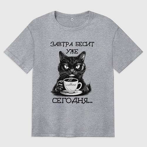 Женская футболка оверсайз Завтра бесит уже сегодня - недовольный кот на рабо / Меланж – фото 1