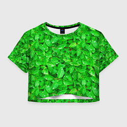 Футболка 3D укороченная женская Зелёные листья - текстура, цвет: 3D-принт