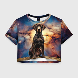 Футболка 3D укороченная женская Курцхаар и космос, цвет: 3D-принт
