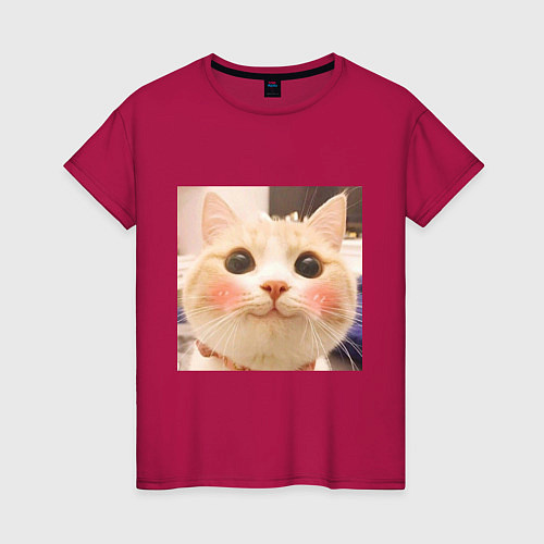 Женская футболка Мем про котов / Маджента – фото 1