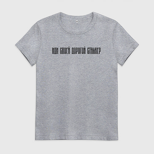 Женская футболка ИДИ СВОЕЙ ДОРОГОЙ СТАЛКЕР / Меланж – фото 1