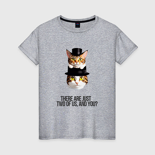 Женская футболка Нас двое котов / Меланж – фото 1