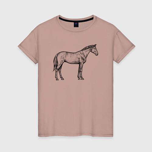Женская футболка Лошадь стоит в профиль / Пыльно-розовый – фото 1
