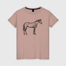 Футболка хлопковая женская Лошадь стоит в профиль, цвет: пыльно-розовый
