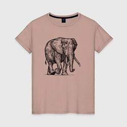 Футболка хлопковая женская Слон идет, цвет: пыльно-розовый