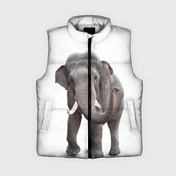 Женский жилет Большой слон, цвет: 3D-светло-серый